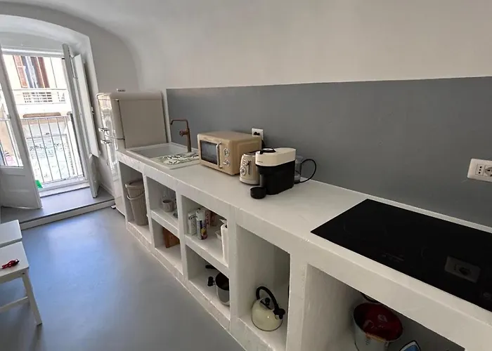 White Dome Retriet *